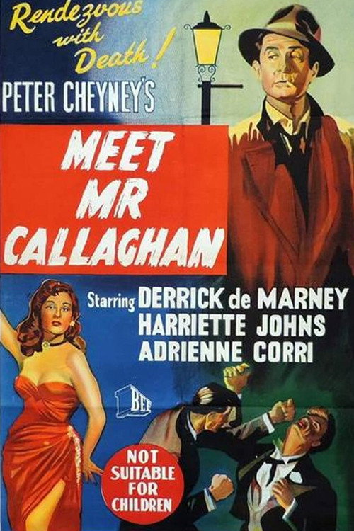 Póster de Meet Mr. Callaghan