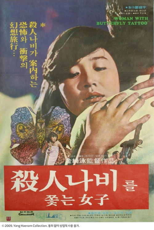 Póster de 살인나비를 쫓는 여자