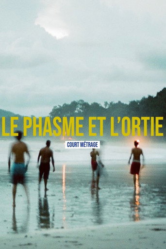 Póster de Le phasme et l'ortie