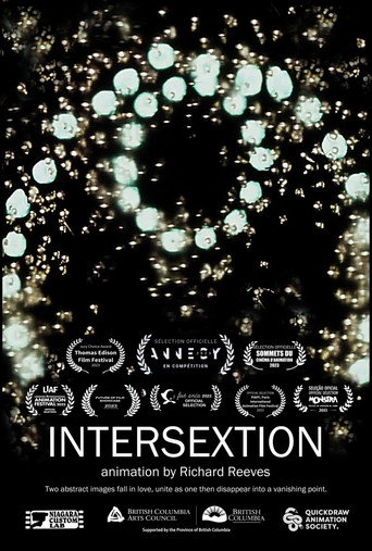 Póster de Intersextion
