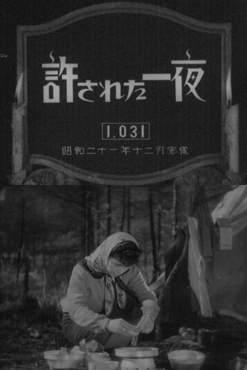 Póster de 許された一夜