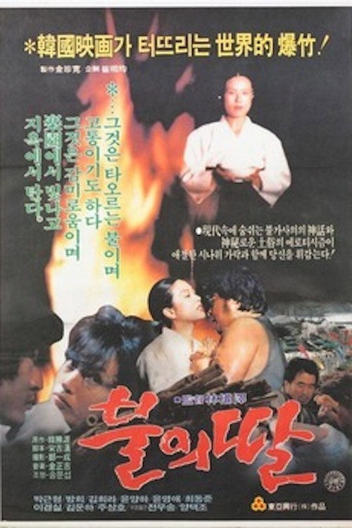 Póster de 불의 딸