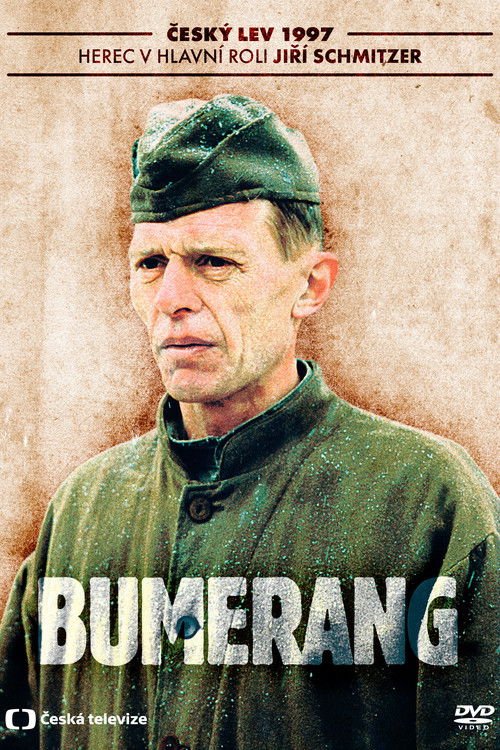 Póster de Bumerang