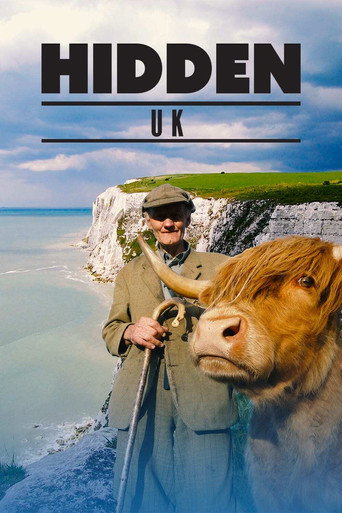 Póster de Hidden UK