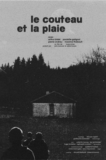 Póster de Le Couteau et la Plaie