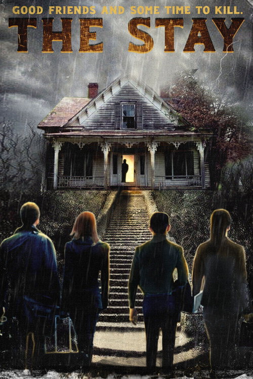 Póster de The Stay