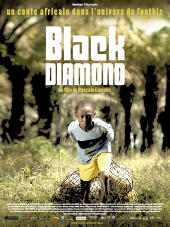 Póster de Black Diamond