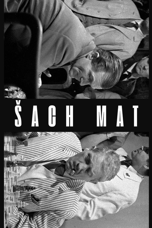 Póster de Šach mat