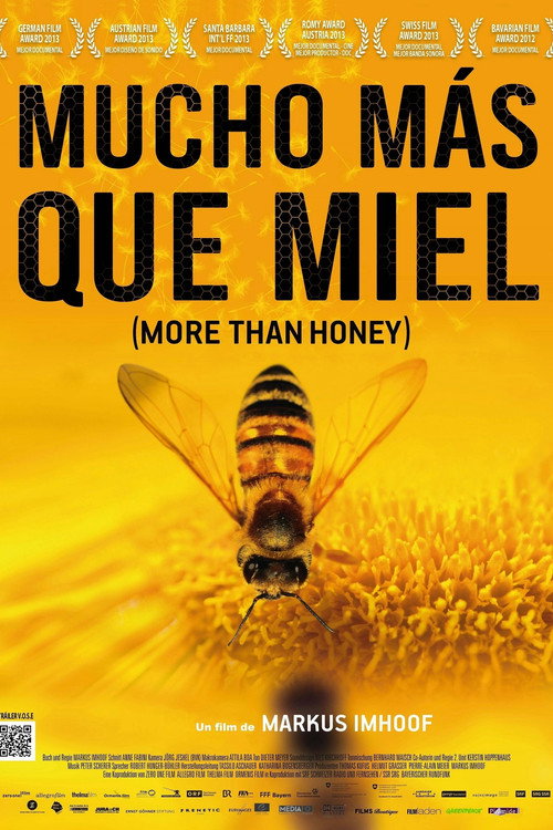Póster de More Than Honey