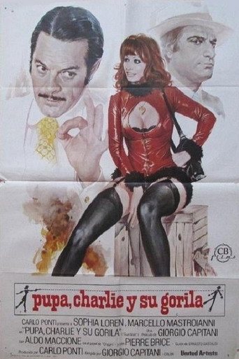 Póster de La pupa del gangster