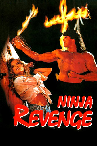 Póster de Ninja Vengeance
