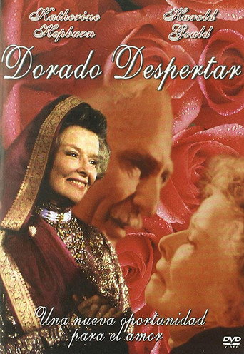 Póster de Mrs. Delafield Wants to Marry