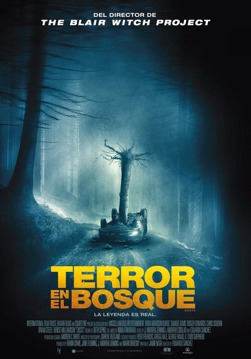 Póster de Terror en el bosque