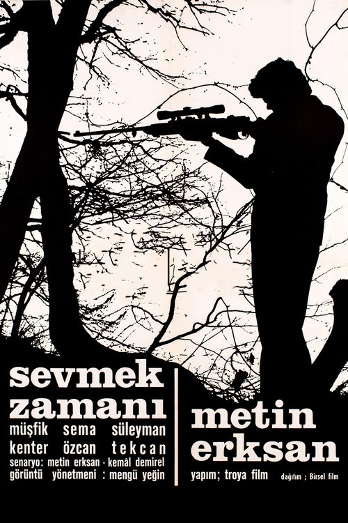 Póster de Sevmek Zamanı