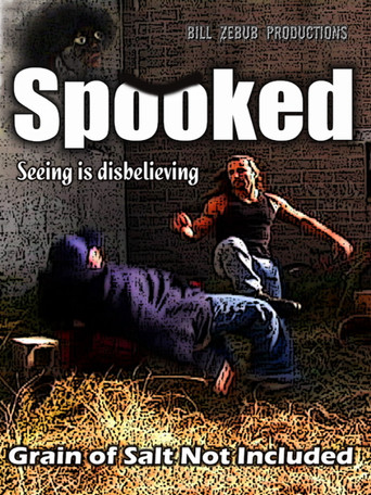 Póster de Spooked