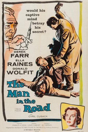 Póster de The Man in the Road