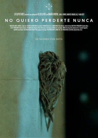 Póster de No quiero perderte nunca