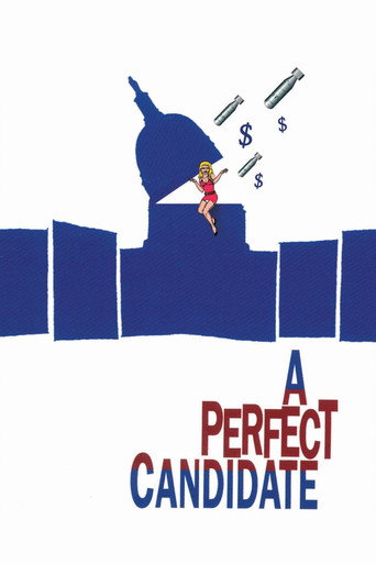 Póster de A Perfect Candidate