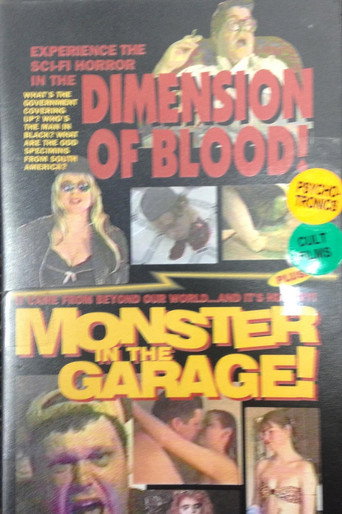 Póster de Dimension of Blood