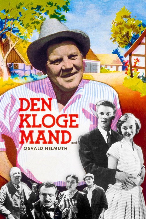 Póster de Den kloge mand