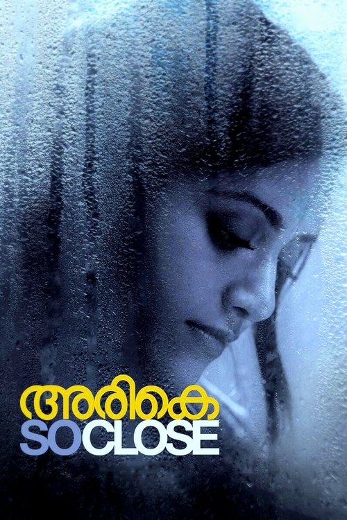 Póster de അരികെ