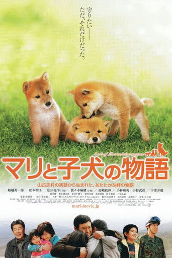 Póster de マリと子犬の物語