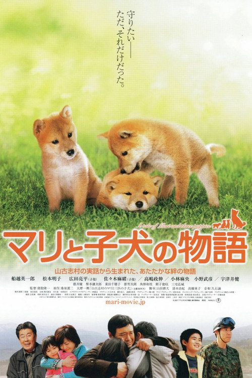 Póster de マリと子犬の物語
