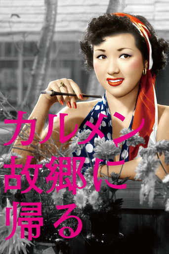 Póster de カルメン故郷に帰る
