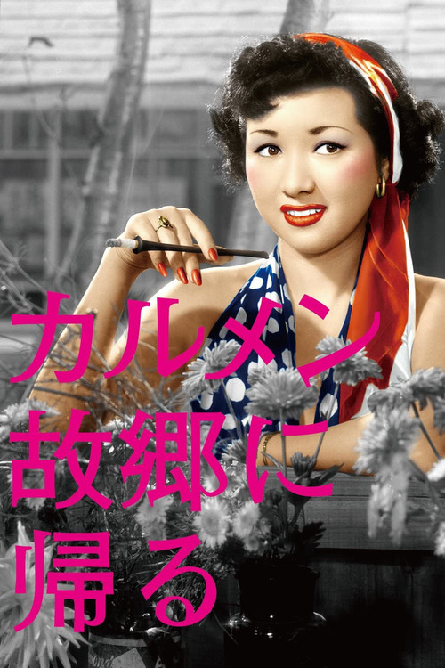 Póster de カルメン故郷に帰る
