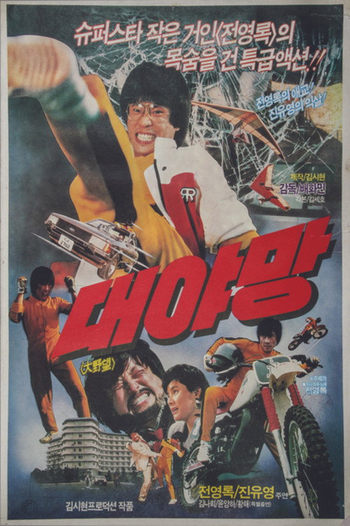 Póster de 대야망