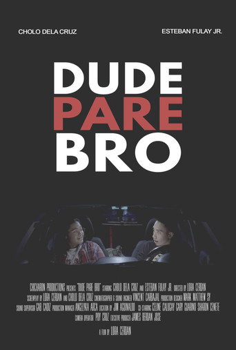 Póster de Dude Pare Bro