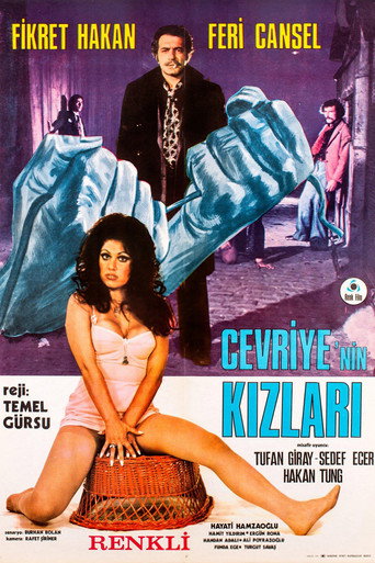 Póster de Cevriye'nin Kızları