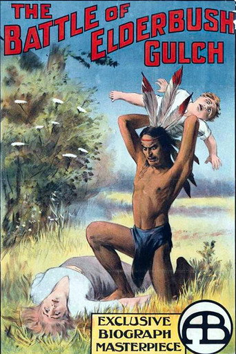 Póster de The Battle at Elderbush Gulch