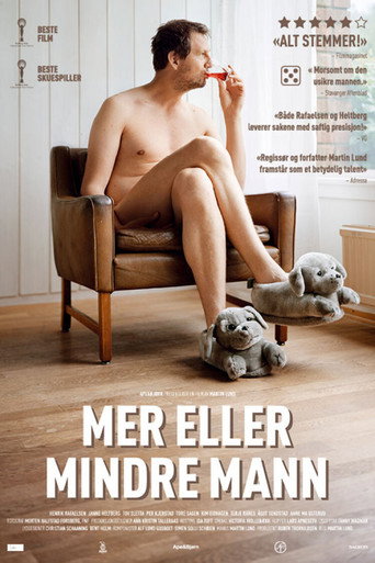 Póster de Mer eller mindre mann