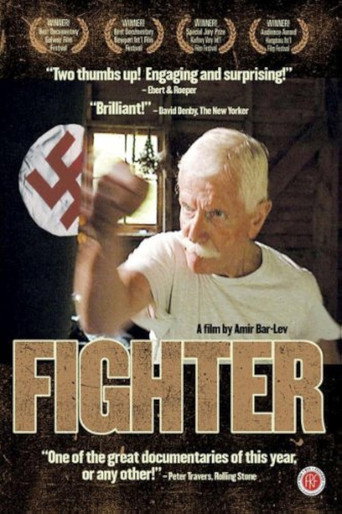 Póster de Fighter