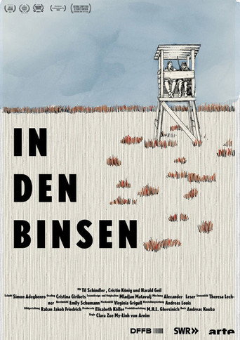 Póster de In den Binsen