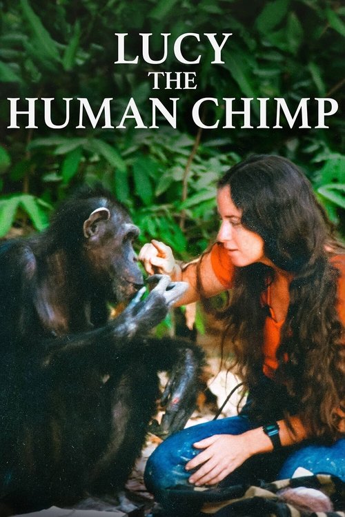 Póster de Lucy, el chimpancé humano