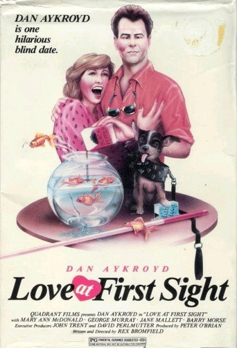 Póster de Love at First Sight