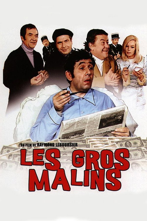 Póster de Les gros malins