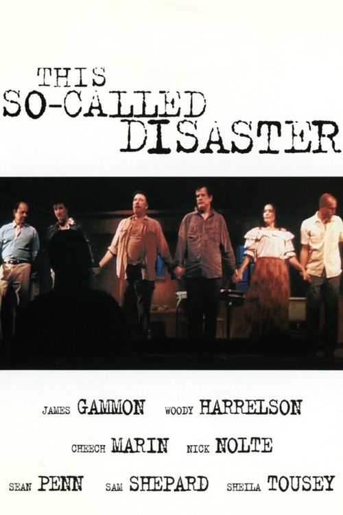 Póster de This So-Called Disaster
