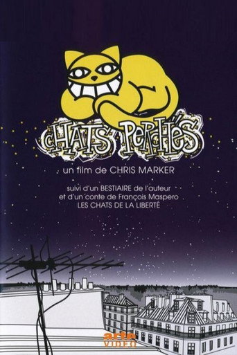 Póster de Chats perchés