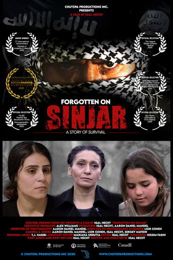 Póster de Forgotten on Sinjar
