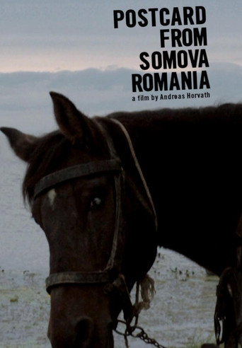 Póster de Postcard from Somova, Romania