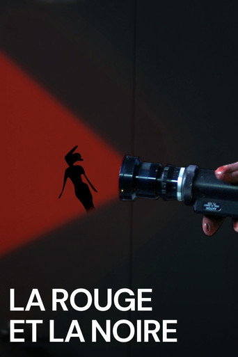 Póster de La rouge et la noire
