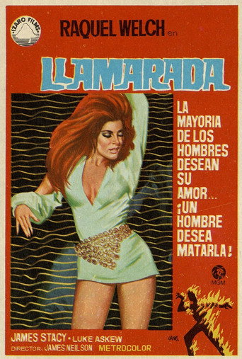 Póster de Flareup
