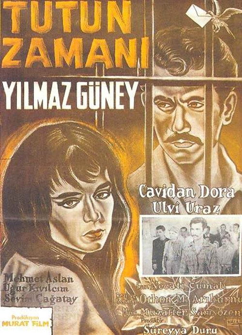 Póster de Tütün Zamanı