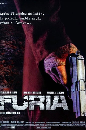Póster de Furia