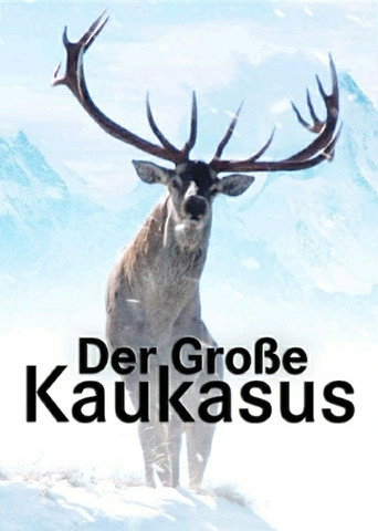 Póster de Der Große Kaukasus