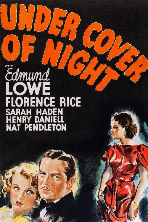 Póster de Under Cover of Night