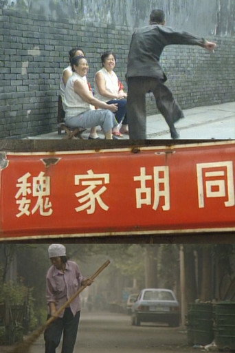 Póster de 魏家胡同